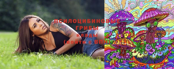 apvp Алексеевка