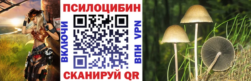 где продают наркотики  Арамиль  Галлюциногенные грибы Psilocybine cubensis 